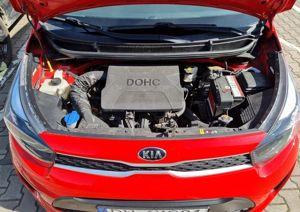 Kia Picanto cena 34500 przebieg: 83000, rok produkcji 2019 z Wrocław małe 67